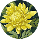 Siena Fox profile picture